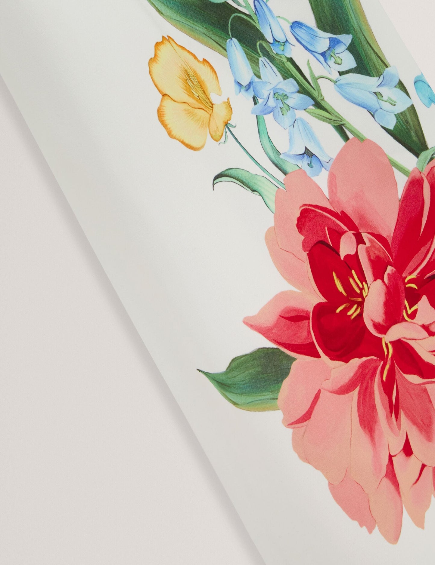  DODIA | WHITE
