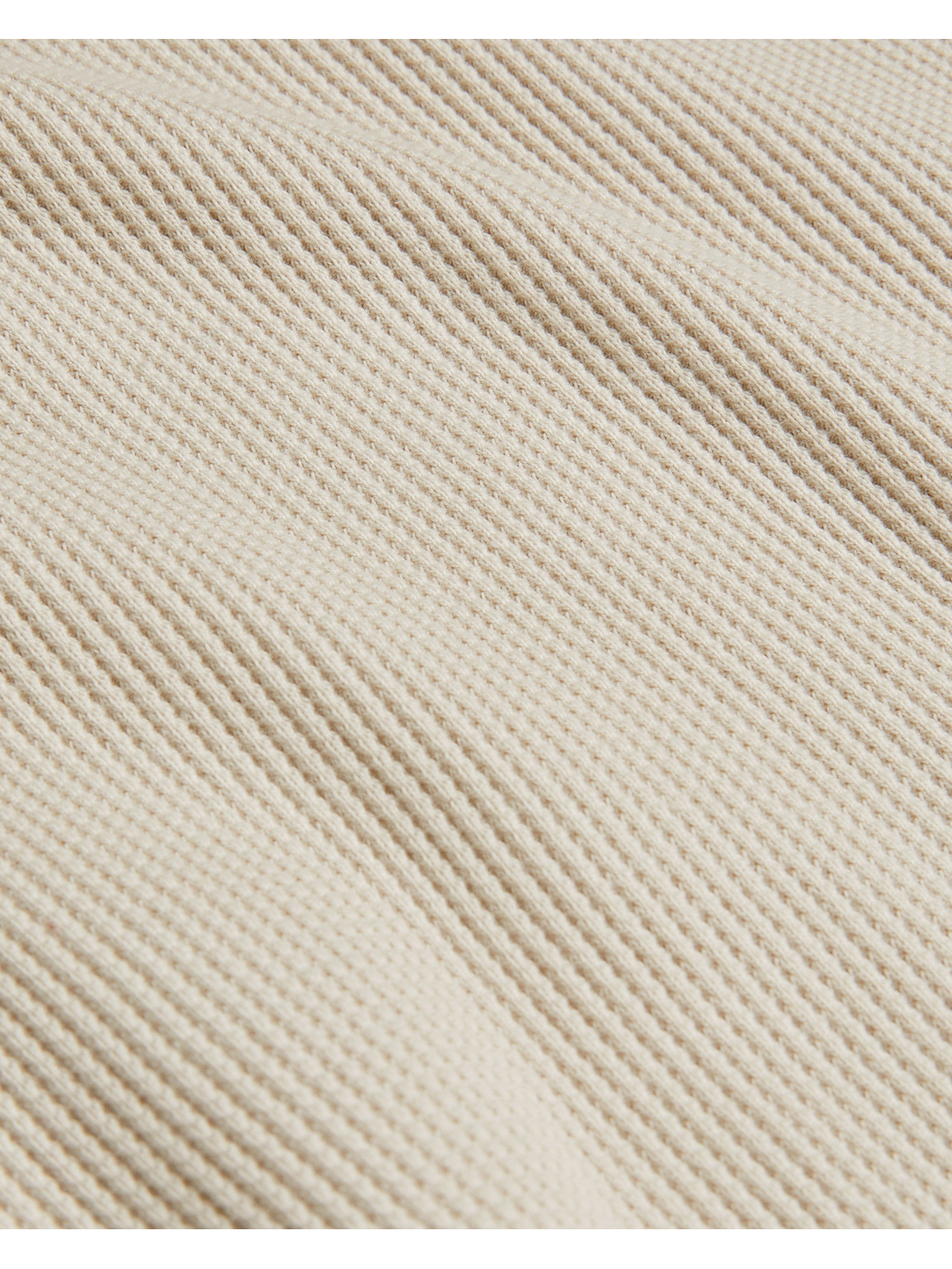  FRUTE | STONE